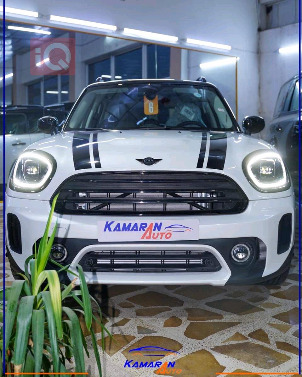 Mini Countryman